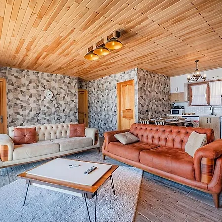 Ahenk 别墅 费特希耶