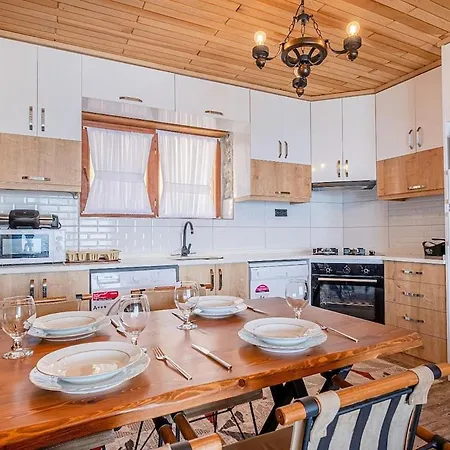 别墅 Ahenk 费特希耶